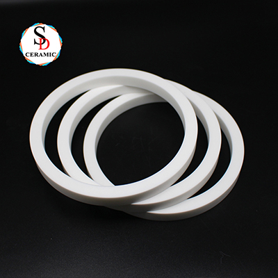 Large Size 95 Alumina Ceramic Ring Seal Ring