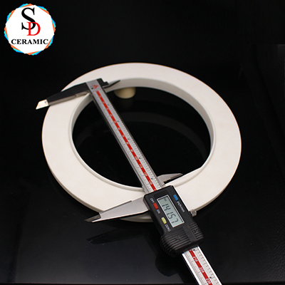 Large Size 95 Alumina Ceramic Ring Seal Ring