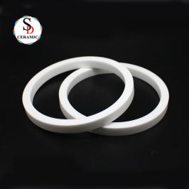 Large Size 95 Alumina Ceramic Ring Seal Ring